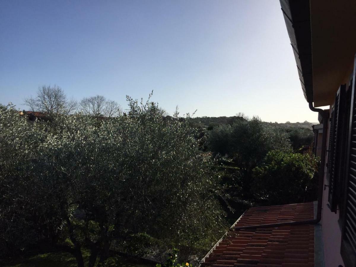 Bilocale Gli Ulivi San Teodoro Ferienhaus