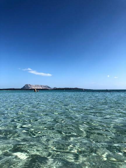 Bilocale Gli Ulivi San Teodoro Ferienhaus San Teodoro (Sardinia)
